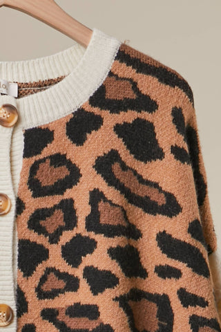 Bold Stripe and Leopard Cardigan-Cardigan-Mello.-Stuffology - Where Vintage Meets Modern, A Boutique for Real Women in Crosbyton, TX