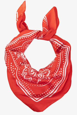 Wild Rags-Wild Rags-Stuffology Boutique -Stuffology - Where Vintage Meets Modern, A Boutique for Real Women in Crosbyton, TX