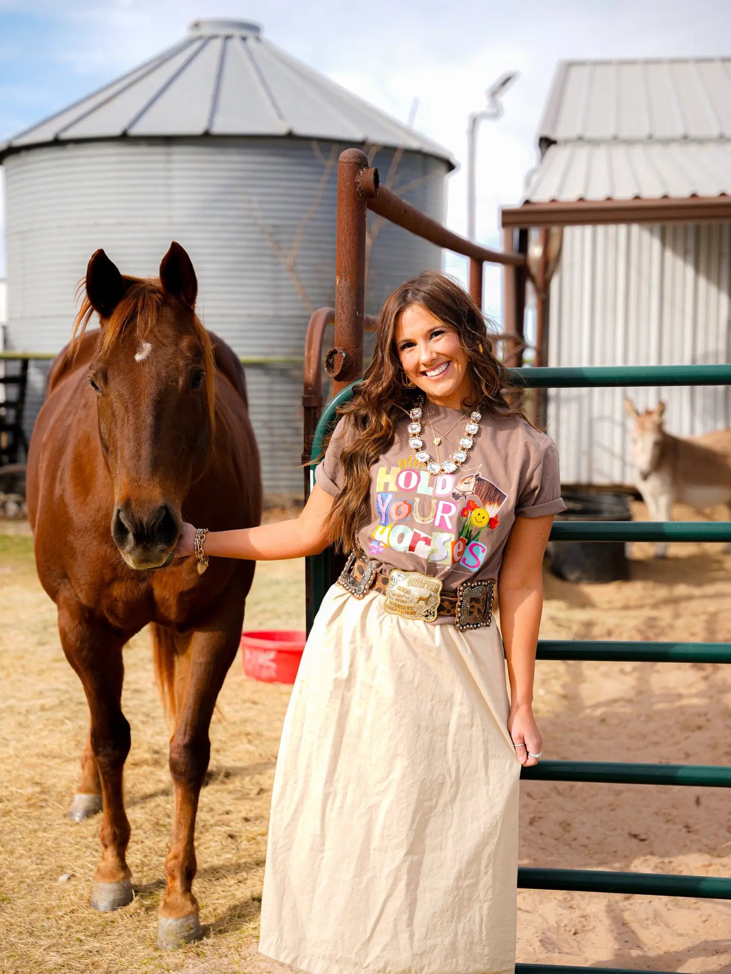“Hold Your Horses” Graphic Tee-Graphic Tees-Stuffology Boutique -Stuffology - Where Vintage Meets Modern, A Boutique for Real Women in Crosbyton, TX